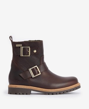 Barbour Bramble Double Buckle Boots Dark Brown | BABO89881