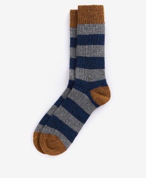 Barbour Houghton Stripe Socks Fig/Asphalight | BABO89153