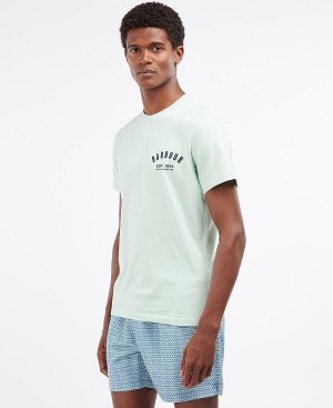 Barbour Preppy T-shirt Dusty Mint | BABO88261