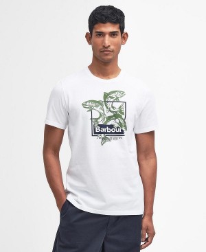 Barbour Witton Graphic T-shirt Classic White | BABO88350