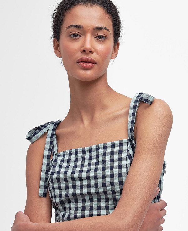 Barbour Abigail Gingham Midi Dress Blue Haze Gingham | BABO89631