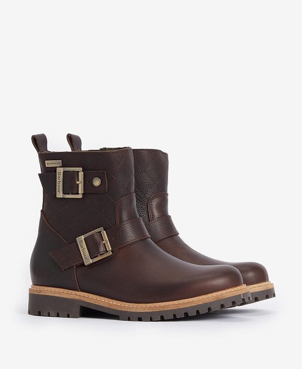 Barbour Bramble Double Buckle Boots Dark Brown | BABO89881