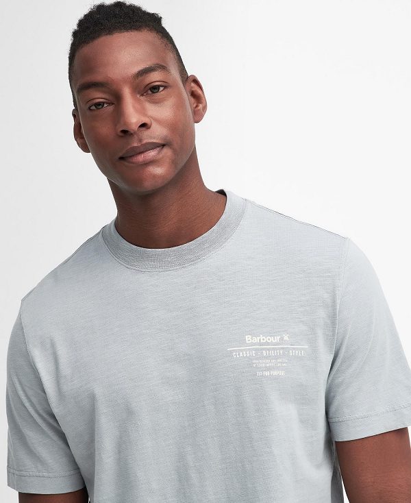 Barbour Denison Relaxed T-shirt Blue | BABO88392