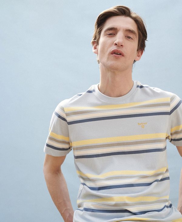 Barbour Hamstead Striped T-shirt Niagara Mist | BABO88378