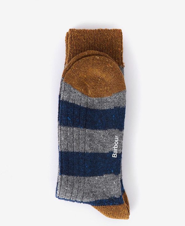 Barbour Houghton Stripe Socks Fig/Asphalight | BABO89153