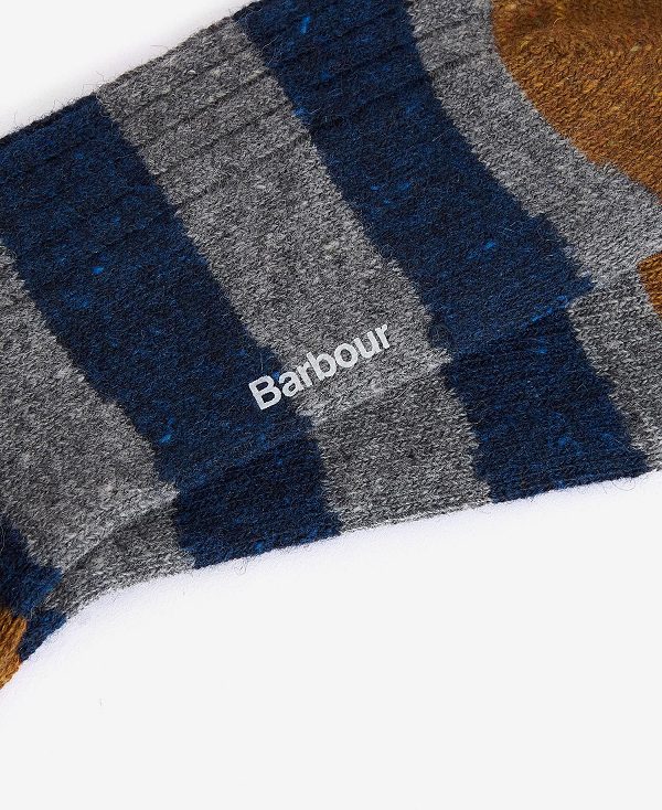 Barbour Houghton Stripe Socks Fig/Asphalight | BABO89153