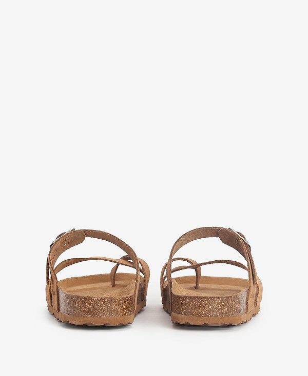 Barbour Langton Sandals Brown | BABO89897