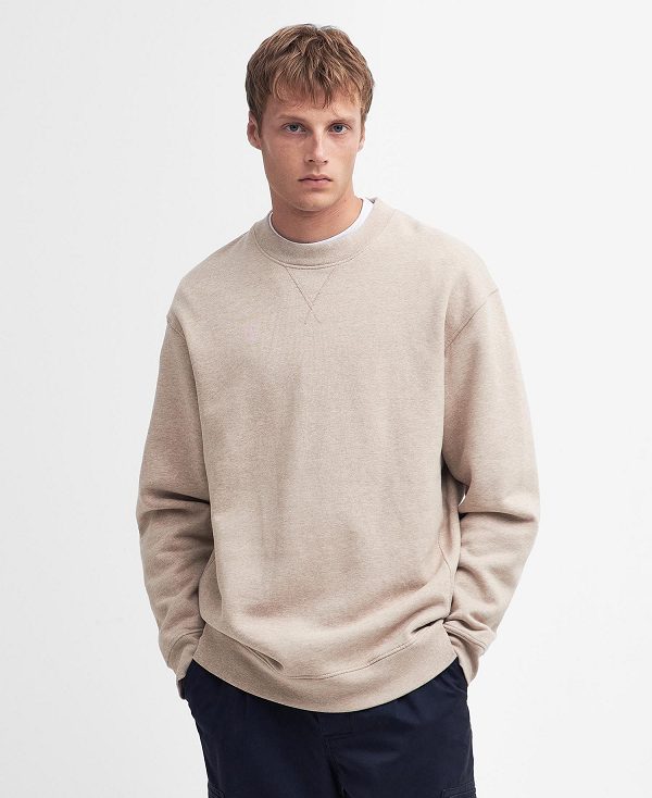 Barbour Mosely Oversized Sweatshirt Mist | BABO88450