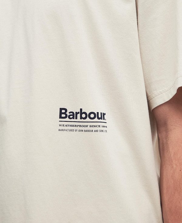 Barbour Portland Oversized T-shirt Mist | BABO88371