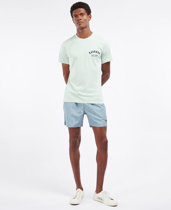 Barbour Preppy T-shirt Dusty Mint | BABO88261