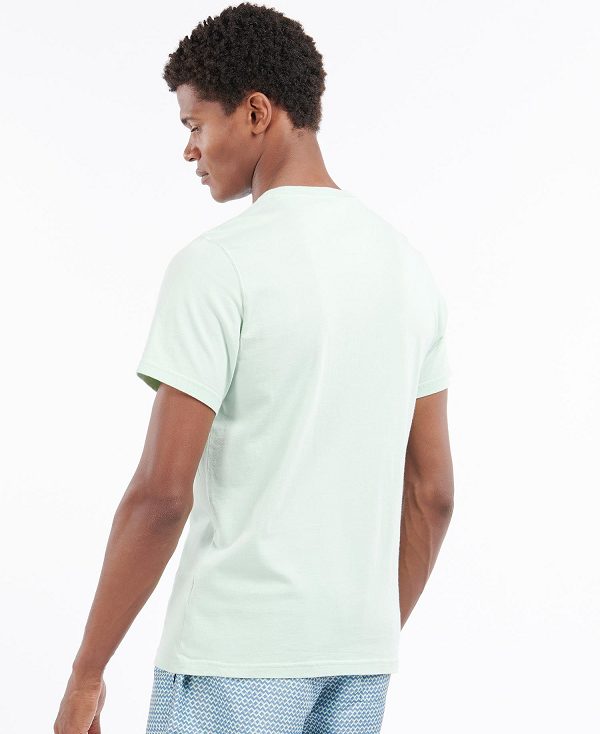 Barbour Preppy T-shirt Dusty Mint | BABO88261