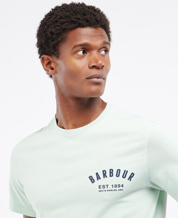 Barbour Preppy T-shirt Dusty Mint | BABO88261