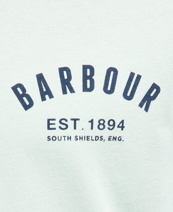 Barbour Preppy T-shirt Dusty Mint | BABO88261