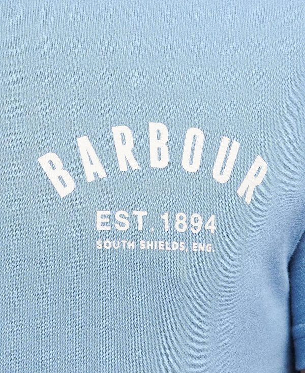 Barbour Preppy T-shirt Dusty Mint | BABO88268