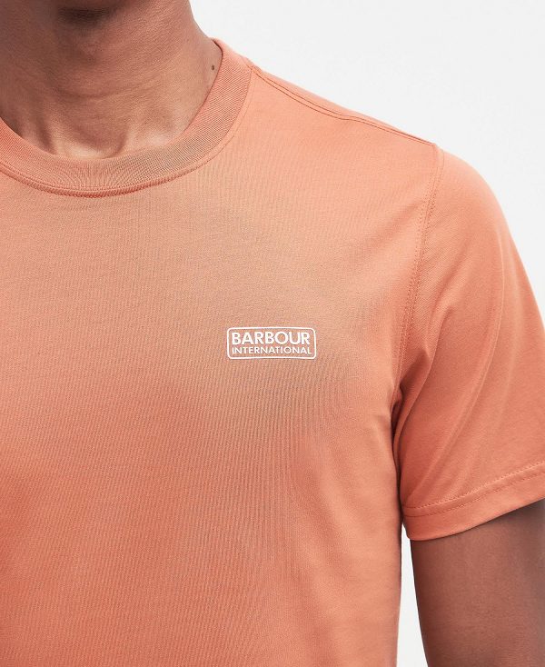 Barbour Small Logo T-shirt Sienna | BABO88301